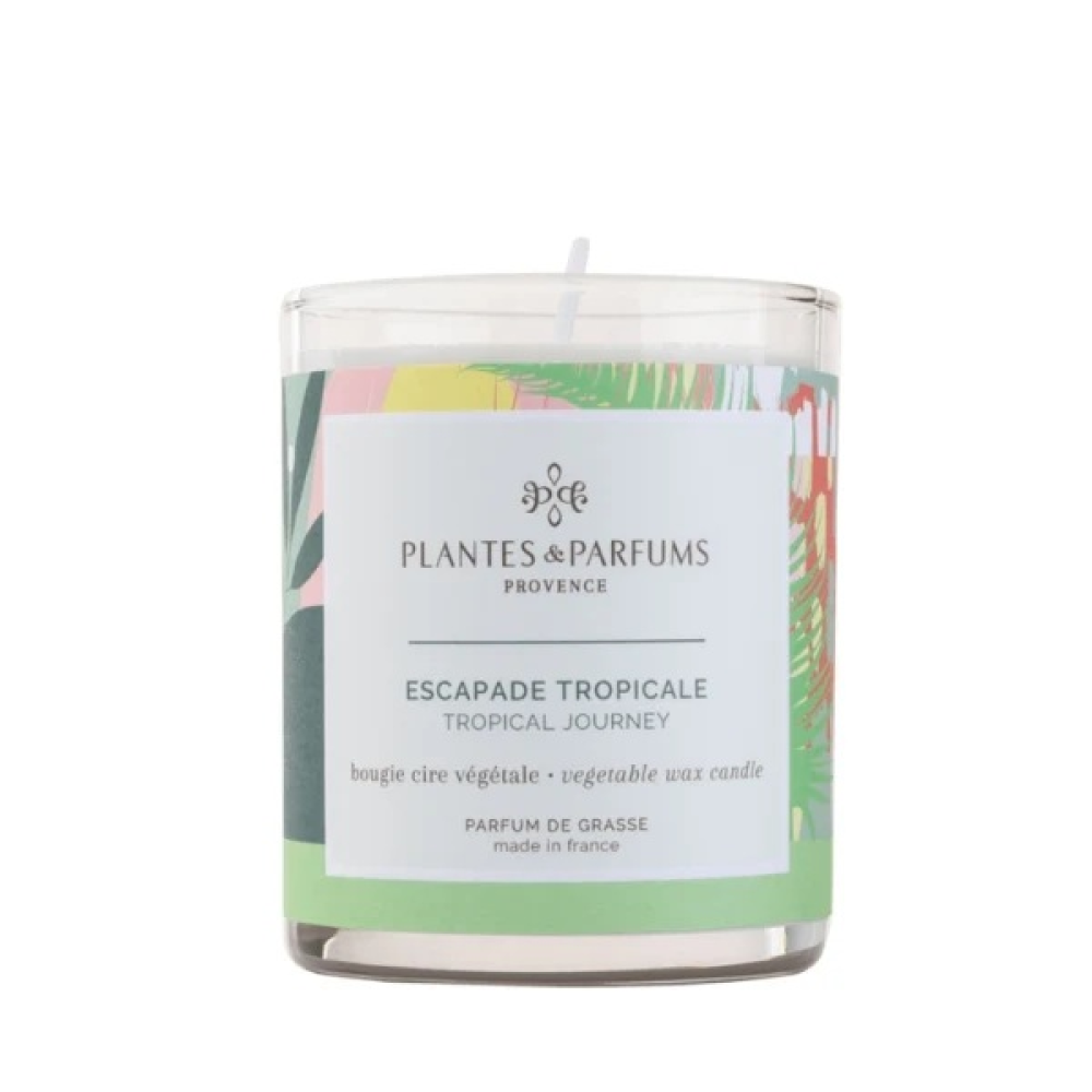 Perfumed Candle - Tropical Journey